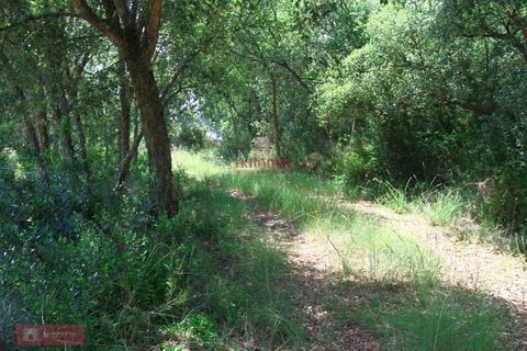 Helårsgrund i Tomar, Santarem, Tomar - € 91.000 | Ref: TPH226-04 - foto 22