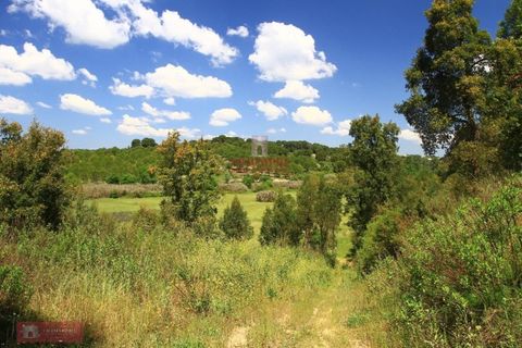 Helårsgrund i Tomar, Santarem, Tomar - € 91.000 | Ref: TPH226-04 - foto 23