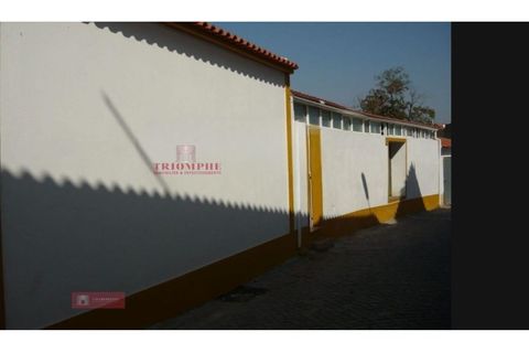 Villa a Crato, Portalegre, Crato - € 430.000 | Ref: TPH227-07 - foto 16
