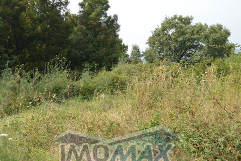 Helårsgrund i Amarante, Porto, Amarante - € 72.000 | Ref: 2022-104 - foto 4