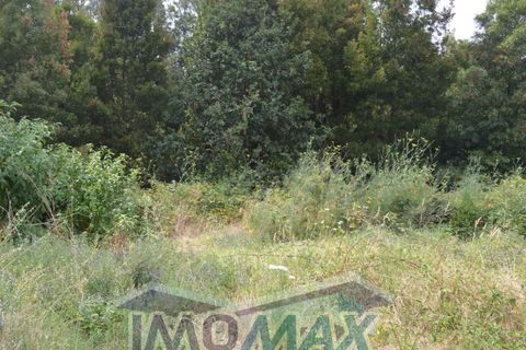Helårsgrund i Amarante, Porto, Amarante - € 72.000 | Ref: 2022-104 - foto 6