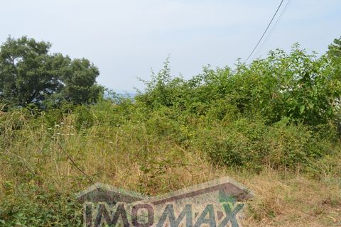 Helårsgrund i Amarante, Porto, Amarante - € 72.000 | Ref: 2022-104 - foto 8