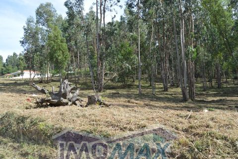 Helårsgrund i Penafiel, Porto, Penafiel - € 100.000 | Ref: 2022-089 - foto 1