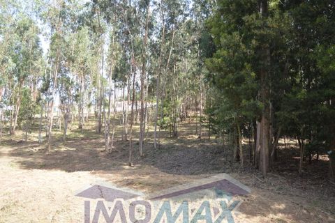Helårsgrund i Penafiel, Porto, Penafiel - € 100.000 | Ref: 2022-089 - foto 3