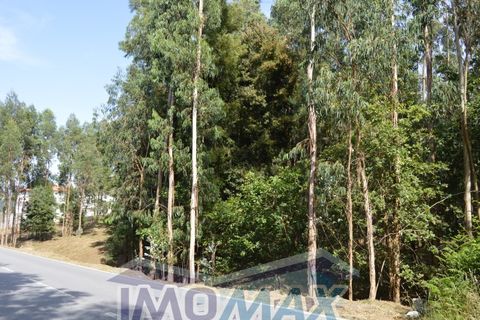 Helårsgrund i Penafiel, Porto, Penafiel - € 100.000 | Ref: 2022-089 - foto 5