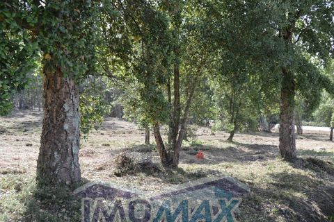 Helårsgrund i Penafiel, Porto, Penafiel - € 100.000 | Ref: 2022-089 - foto 11