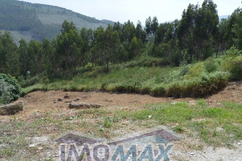 Terra a Rio de Moinhos, Porto, Rio de Moinhos - € 45.000 | Ref: 2022-105 - foto 2