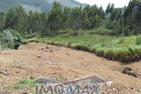 Terra a Rio de Moinhos, Porto, Rio de Moinhos - € 45.000 | Ref: 2022-105 - foto 3