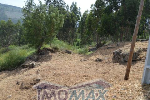 Terra a Rio de Moinhos, Porto, Rio de Moinhos - € 45.000 | Ref: 2022-105 - foto 5