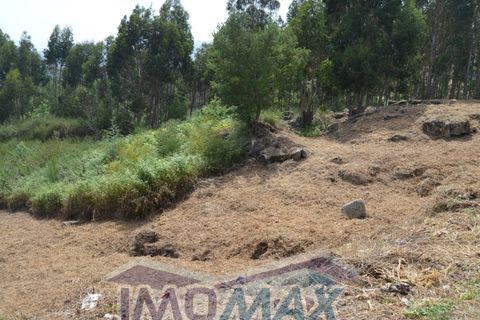 Terra a Rio de Moinhos, Porto, Rio de Moinhos - € 45.000 | Ref: 2022-105 - foto 6