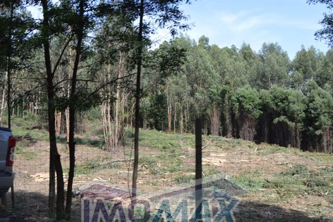 Helårsgrund i Penafiel, Porto, Penafiel - € 1.000.000 | Ref: 2022-091 - foto 1