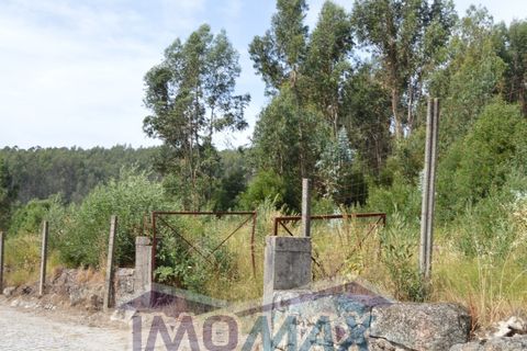 Helårsgrund i Penafiel, Porto, Penafiel - € 1.000.000 | Ref: 2022-091 - foto 4