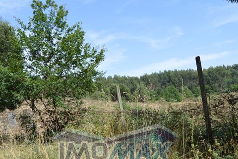 Helårsgrund i Penafiel, Porto, Penafiel - € 1.000.000 | Ref: 2022-091 - foto 5