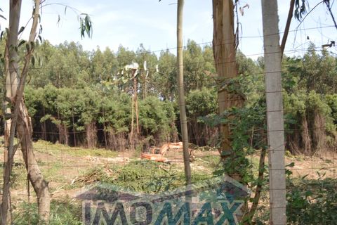 Helårsgrund i Penafiel, Porto, Penafiel - € 1.000.000 | Ref: 2022-091 - foto 6