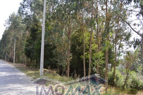 Helårsgrund i Penafiel, Porto, Penafiel - € 1.000.000 | Ref: 2022-091 - foto 12