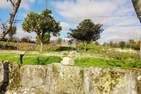 Helårsgrund i Viseu, Viseu, Viseu - € 60.000 | Ref: 353/T/01269 - foto 3