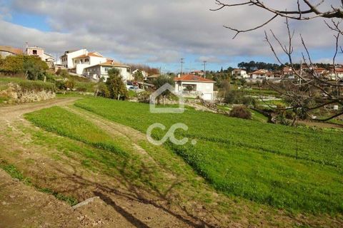 Helårsgrund i Viseu, Viseu, Viseu - € 60.000 | Ref: 353/T/01269 - foto 4