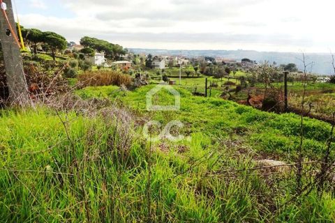 Helårsgrund i Viseu, Viseu, Viseu - € 60.000 | Ref: 353/T/01269 - foto 5