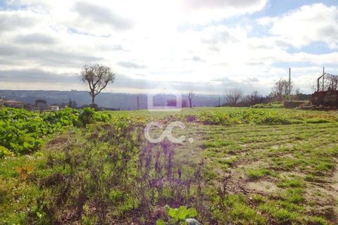 Helårsgrund i Viseu, Viseu, Viseu - € 60.000 | Ref: 353/T/01269 - foto 6