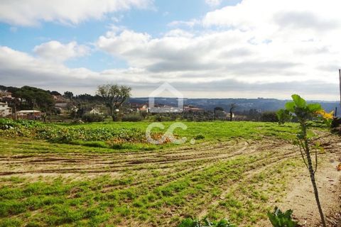 Helårsgrund i Viseu, Viseu, Viseu - € 60.000 | Ref: 353/T/01269 - foto 7