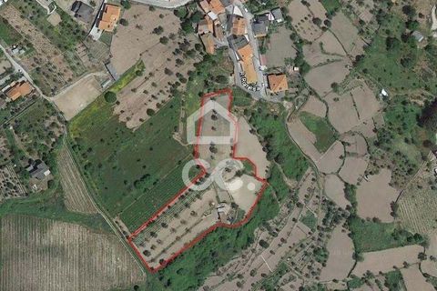 Helårsgrund i Viseu, Viseu, Viseu - € 60.000 | Ref: 353/T/01269 - foto 9