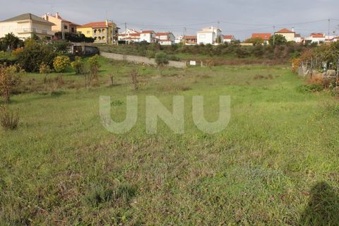 Helårsgrund i Castelo Branco, Castelo Branco, Castelo Branco - € 59.500 | Ref: UNU.I.1754.12555 - foto 4
