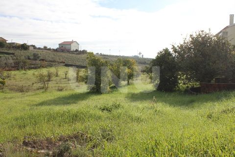 Helårsgrund i Castelo Branco, Castelo Branco, Castelo Branco - € 59.500 | Ref: UNU.I.1754.12555 - foto 5
