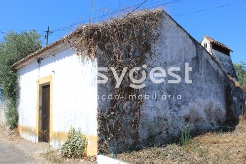 Villa i Mouriscas, Santarem, Mouriscas - € 82.000 | Ref: TM91048 - foto 2