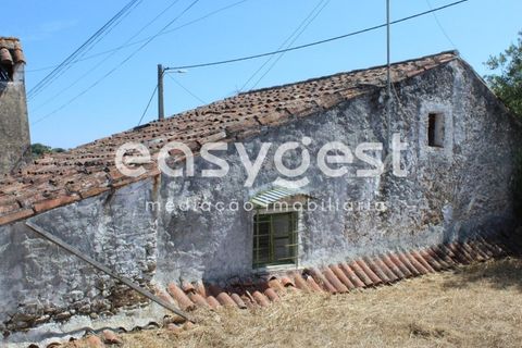 Villa i Mouriscas, Santarem, Mouriscas - € 82.000 | Ref: TM91048 - foto 7