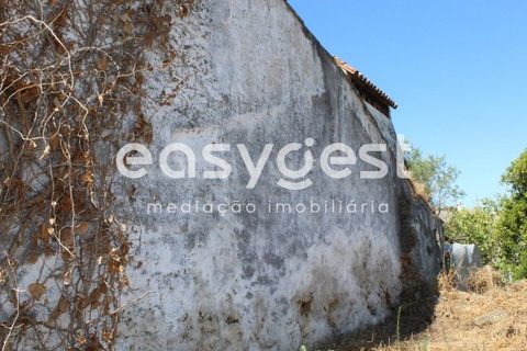 Villa i Mouriscas, Santarem, Mouriscas - € 82.000 | Ref: TM91048 - foto 10