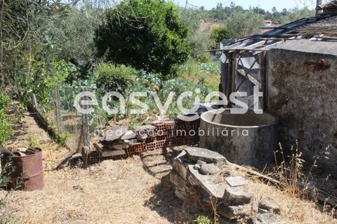 Villa i Mouriscas, Santarem, Mouriscas - € 82.000 | Ref: TM91048 - foto 13
