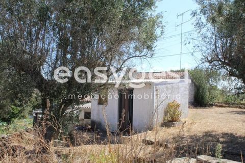 Villa i Mouriscas, Santarem, Mouriscas - € 82.000 | Ref: TM91048 - foto 16