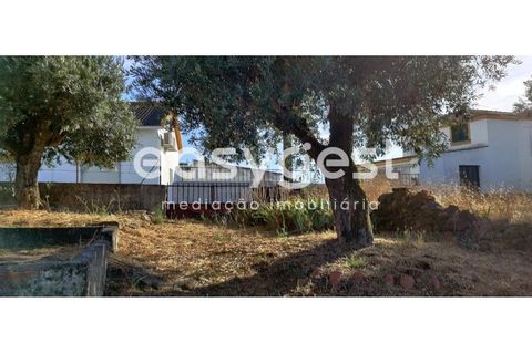 Villa i Mouriscas, Santarem, Mouriscas - € 82.000 | Ref: TM91048 - foto 17