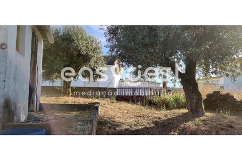 Villa i Mouriscas, Santarem, Mouriscas - € 82.000 | Ref: TM91048 - foto 19