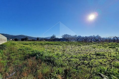 Terra a Curvos, Braga, Curvos - € 140.000 | Ref: 039230003 - foto 2