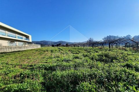 Terra a Curvos, Braga, Curvos - € 140.000 | Ref: 039230003 - foto 3
