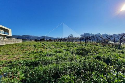 Terra a Curvos, Braga, Curvos - € 140.000 | Ref: 039230003 - foto 4