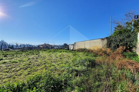 Terra a Curvos, Braga, Curvos - € 140.000 | Ref: 039230003 - foto 6