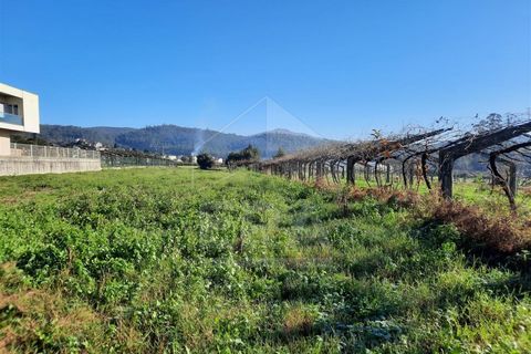 Terra a Curvos, Braga, Curvos - € 140.000 | Ref: 039230003 - foto 10