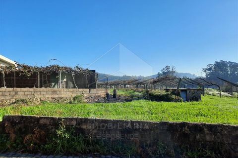 Terra a Curvos, Braga, Curvos - € 140.000 | Ref: 039230003 - foto 11