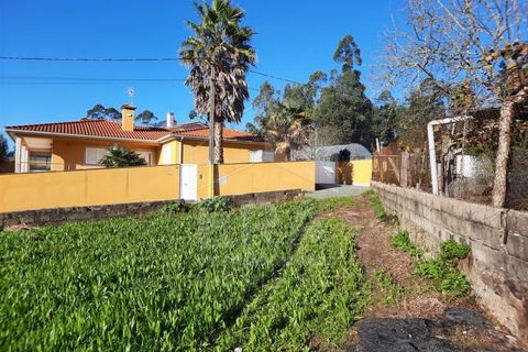 Terra a Curvos, Braga, Curvos - € 140.000 | Ref: 039230003 - foto 12