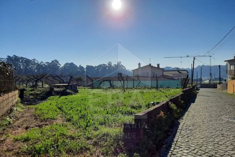 Terra a Curvos, Braga, Curvos - € 140.000 | Ref: 039230003 - foto 13