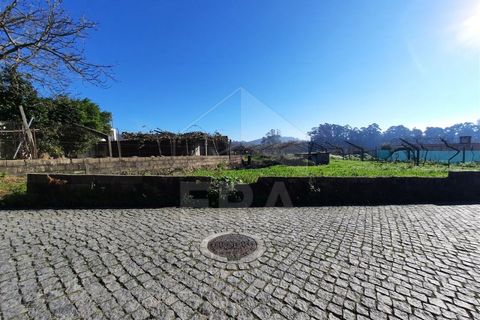 Terra a Curvos, Braga, Curvos - € 140.000 | Ref: 039230003 - foto 14