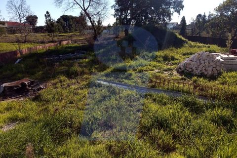 Villa a Vilamar e Corticeiro de Cima, Coimbra, Vilamar e Corticeiro de Cima - € 385.000 | Ref: CAS_980 - foto 29