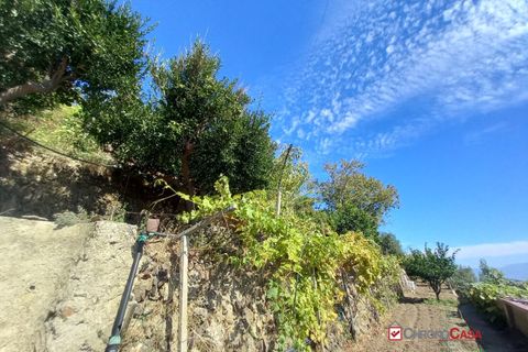 Villa a Messina, Messina, Messina - € 90.000 | Ref: 3vs249 - foto 4
