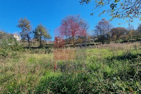 Helårsgrund i Barcelos, Braga, Barcelos - € 75.000 | Ref: 07815 - foto 5