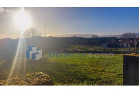 Helårsgrund i Vila Real, Vila Real, Vila Real - € 98.500 | Ref: TER_1111 - foto 3