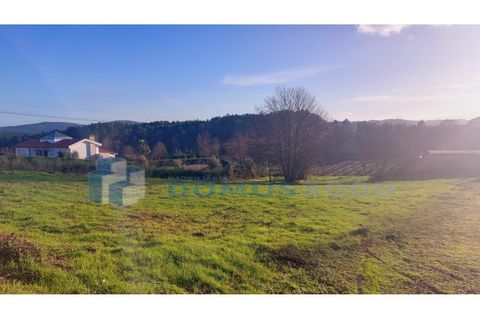 Helårsgrund i Vila Real, Vila Real, Vila Real - € 98.500 | Ref: TER_1111 - foto 4