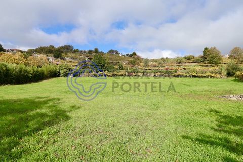 Helårsgrund i Baiao, Porto, Baiao - € 35.000 | Ref: 149571 - foto 1
