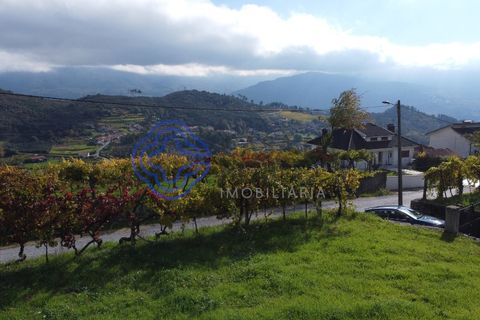 Helårsgrund i Baiao, Porto, Baiao - € 35.000 | Ref: 149571 - foto 2